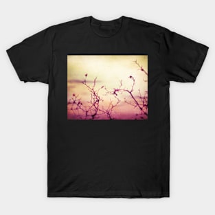 Pink Dawn - nature art T-Shirt